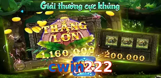 cwin222
